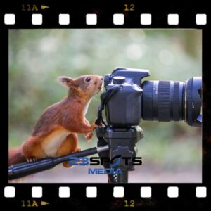 Wildtiervideografie Fundamentals Kurs