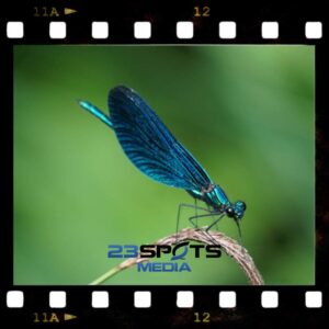 Outdoor Fotografie Kurs